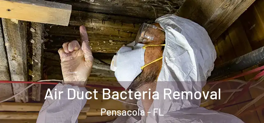  Air Duct Bacteria Removal Pensacola - FL