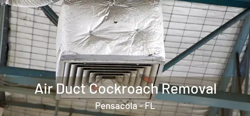  Air Duct Cockroach Removal Pensacola - FL