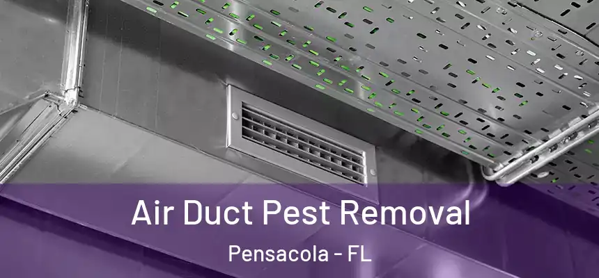 Air Duct Pest Removal Pensacola - FL