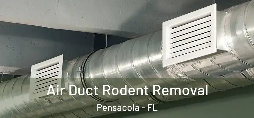 Air Duct Rodent Removal Pensacola - FL