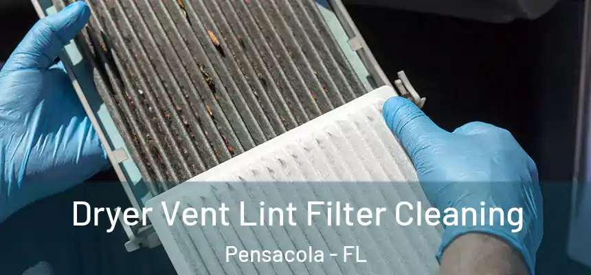 Dryer Vent Lint Filter Cleaning Pensacola - FL