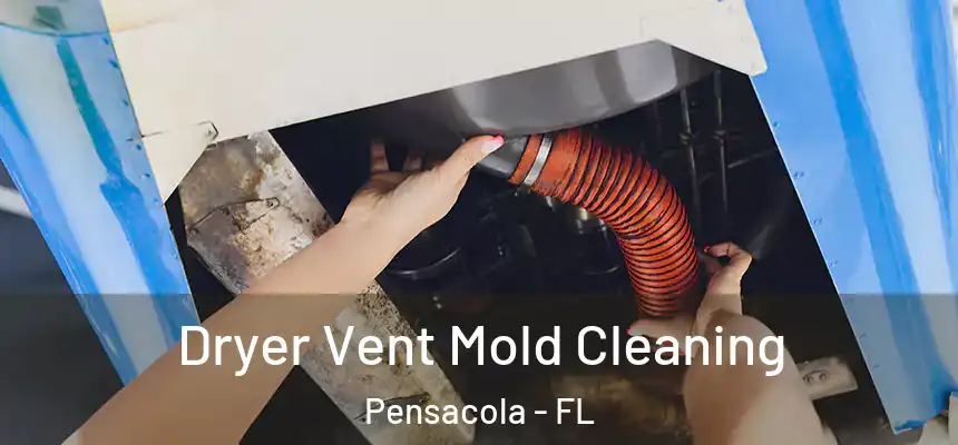  Dryer Vent Mold Cleaning Pensacola - FL
