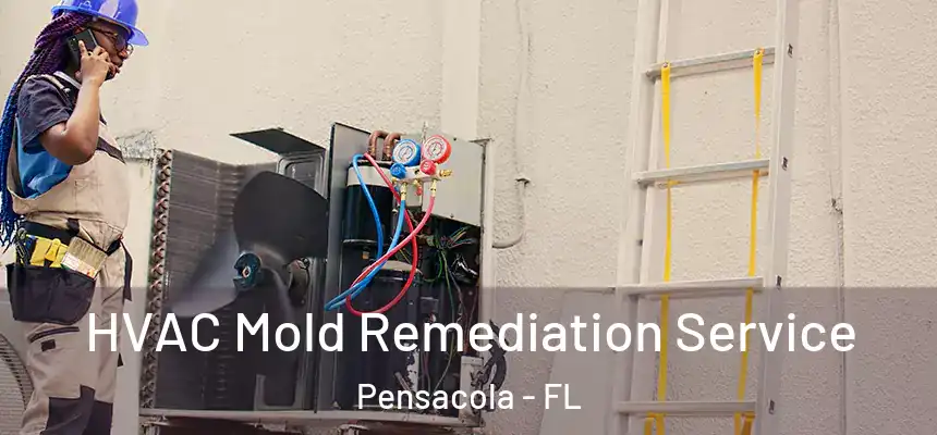HVAC Mold Remediation Service Pensacola - FL
