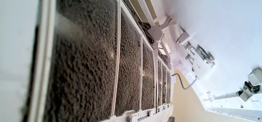 Preventive Air Duct Bacteria Removal in Pensacola