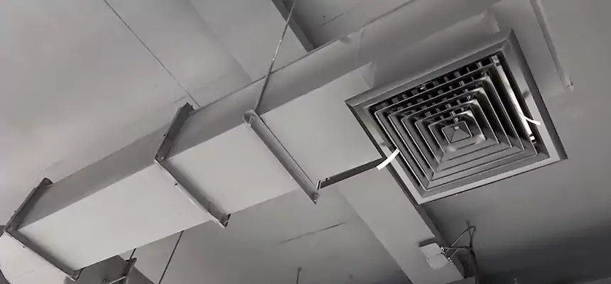 Our Pest Removal From Ducts Services in Pensacola, FL