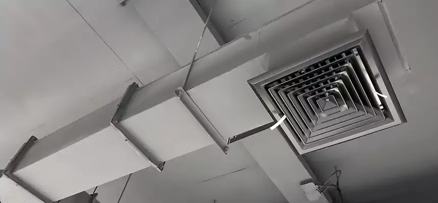 Our Rodent Droppings In Vents Services in Pensacola, FL