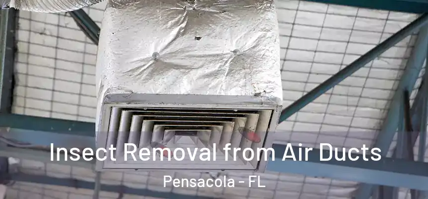 Insect Removal from Air Ducts Pensacola - FL