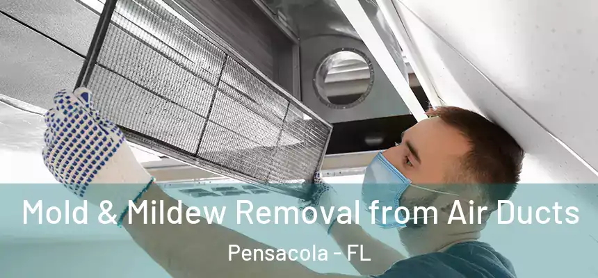Mold & Mildew Removal from Air Ducts Pensacola - FL