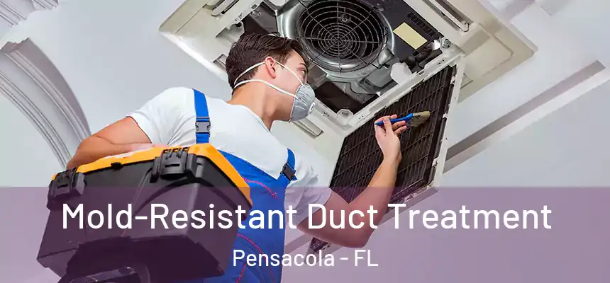 Mold-Resistant Duct Treatment Pensacola - FL