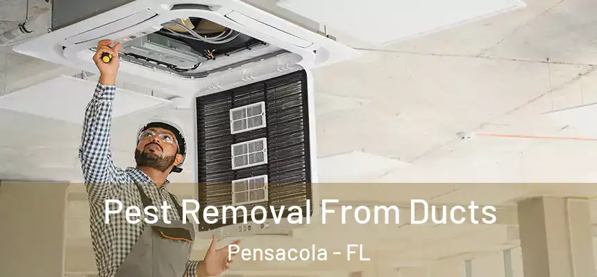 Pest Removal From Ducts Pensacola - FL