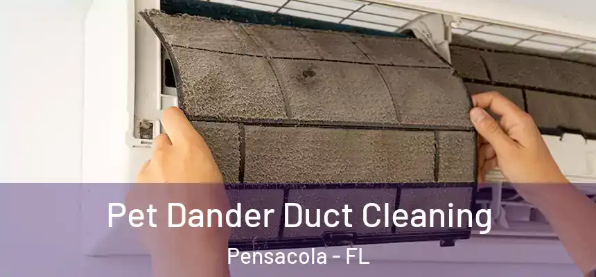 Pet Dander Duct Cleaning Pensacola - FL