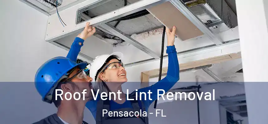 Roof Vent Lint Removal Pensacola - FL