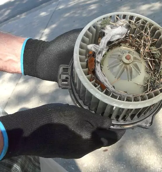 About Air Duct Rat Removal in Pensacola, FL