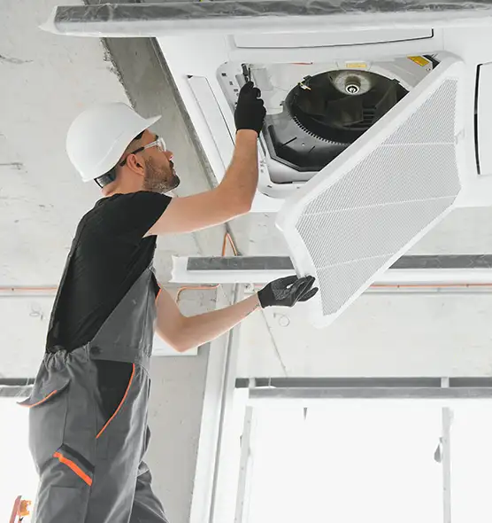 About Air Duct Rodent Removal in Pensacola, FL