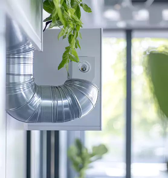 Professional Eco-Safe Dryer Vent Cleaning in Pensacola, FL