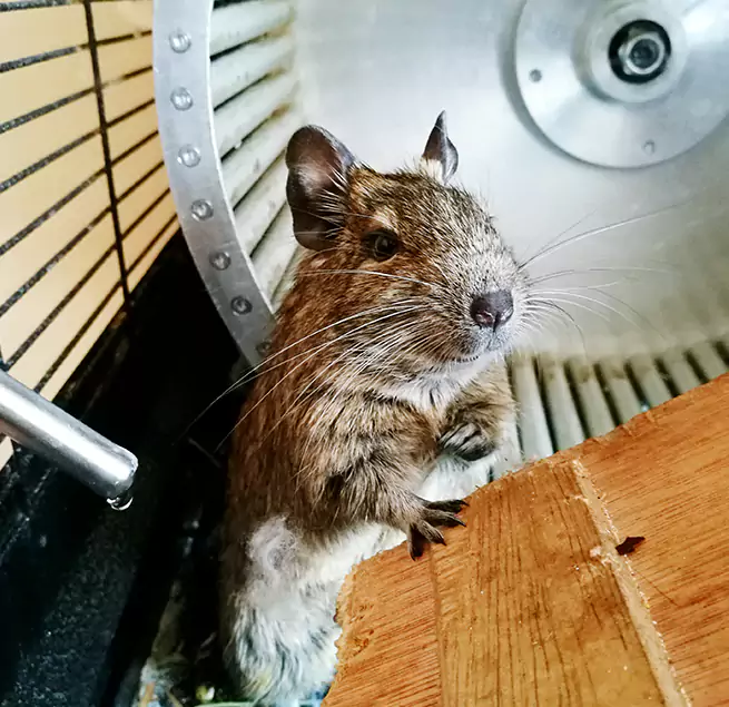 Why Homeowners & Businesses Trust Us Pensacola, FL?