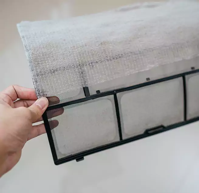 Why Homeowners & Businesses Trust Us in Pensacola, FL?