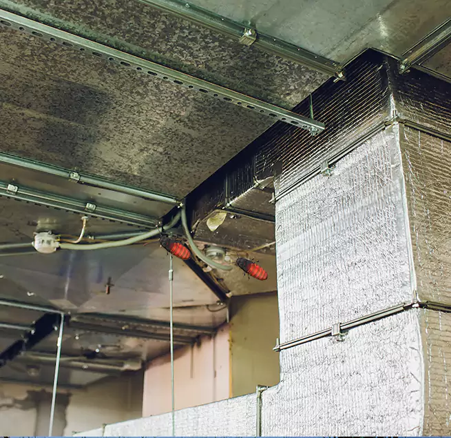 Why Homeowners & Businesses Trust Us Pensacola, FL?