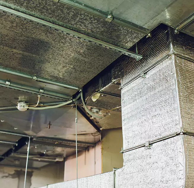 Why Homeowners & Businesses Trust Us in Pensacola, FL?