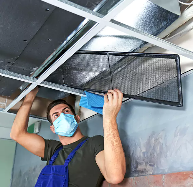 Why Homeowners Businesses Trust Us in Pensacola, FL?